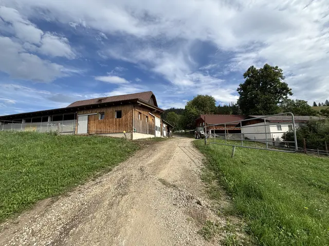 Der Hof von Kathrin Hofer liegt am Herzogberg in Kindberg mit herrlichem Ausblick über das Mürztal. | Foto: MeinBezirk/Angelika Kern