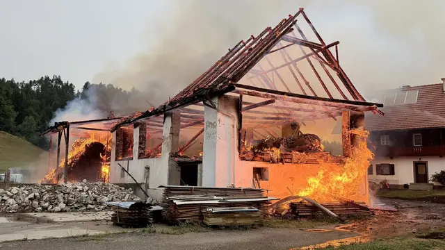 Die meisten Tiere sollen den brennenden Stall selbstständig verlassen haben. Zwei Kälber seien jedoch in den Flammen verendet. | Foto: ÖA@BFK07
