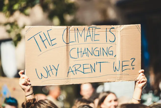 Klimaforscher Gottfried Kirchengast hat mit seinem Team am Wegener Center berechnet, wie groß der Einfluss des Menschen auf die jüngsten Hitzewellen ist. Das Ergebnis ist ernüchternd.  | Foto: unsplash / Markus Spiske
