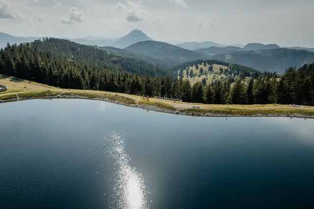 Foto: TV Hochsteiermark, nicoleseiser