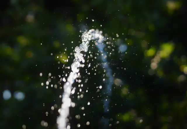 Foto: unsplash / fr0ggy5