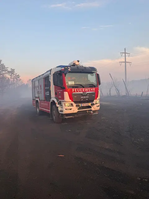 Sieben Mitglieder der FF Mödling waren im Einsatz. | Foto: ffmoedling.at