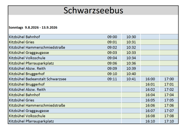 Der Fahrplan des neuen Schwarzseebusses. | Foto: MeinBezirk (Screenshot)