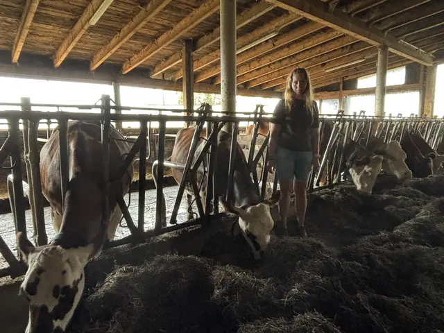 Kathrin Hofer inmitten ihrer Tiere; sie hat den Hof von ihrem Onkel übernommen. | Foto: MeinBezirk/Angelika Kern