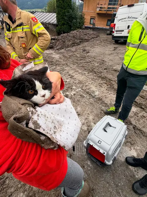 Foto: Feuerwehr Stuhlfelden