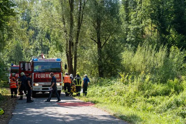 Foto: FOTOKERSCHI / MARTIN SCHARINGER