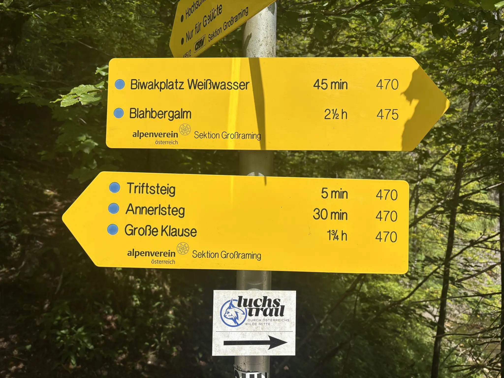 Accident in the Hintergebirge mountains: 13-year-old fell on the ...