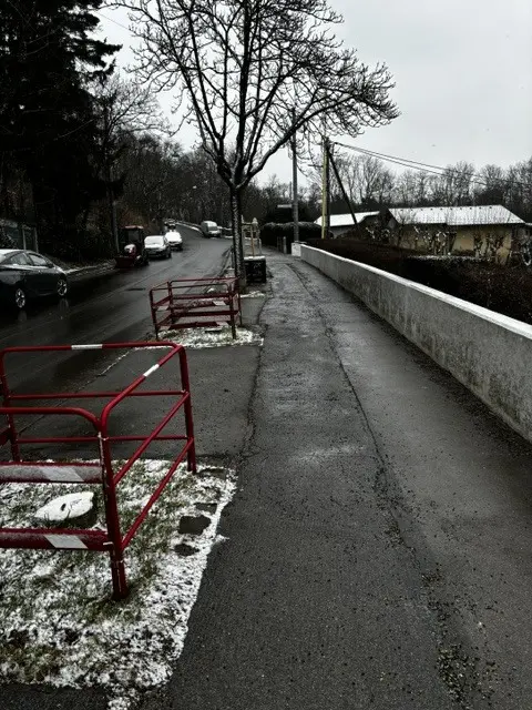 Foto: Baumschutz Ottakring