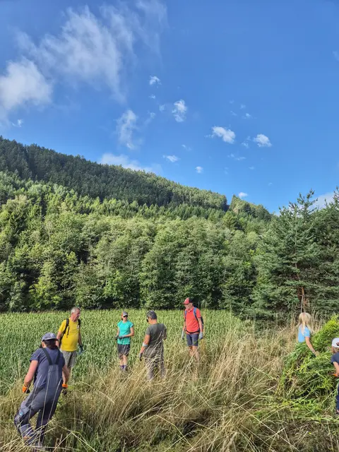 Foto: Gemeinde Kematen