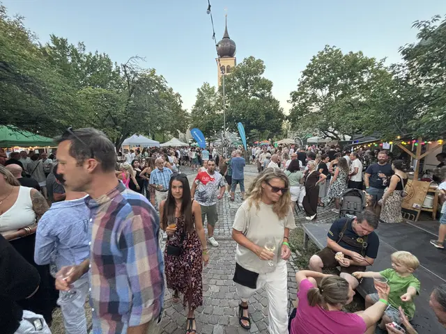 Foto: MeinBezirk Linz-Land