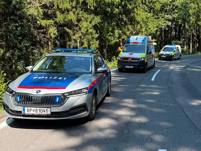 Mehrere Einsatzorganisationen waren am Samstag am Unfallort. | Foto: L. Edler/Rotes Kreuz Stmk.