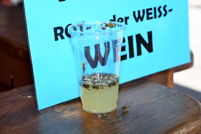Auch ungebetene Gäste waren in großer Zahl vertreten.
