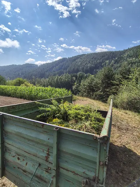 Durch die regelmäßige Pflege bleibt der artenreiche Halbtrockenrasen im Aflinger Himmelreich langfristig erhalten. | Foto: Gemeinde Kematen