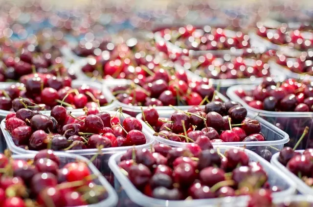 Diese 10 Bauernmärkte in Niederösterreich sollten Sie besuchen!  | Foto: JillWellington/pixabay