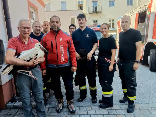 Josef Haberl nahm von den Feuerwehrleuten den verletzten Storch in Empfang. | Foto: FF Voitsberg