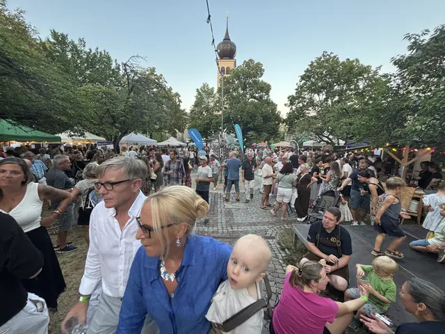 Foto: MeinBezirk Linz-Land
