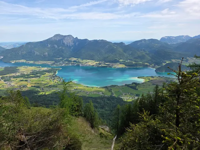 Rettungsschwimmerinnen und Schwimmer der Wasserrettung St. Gilgen trafen als erstes an der Unfallstelle ein und starteten umgehend mit der Suche im Uferbereich. 