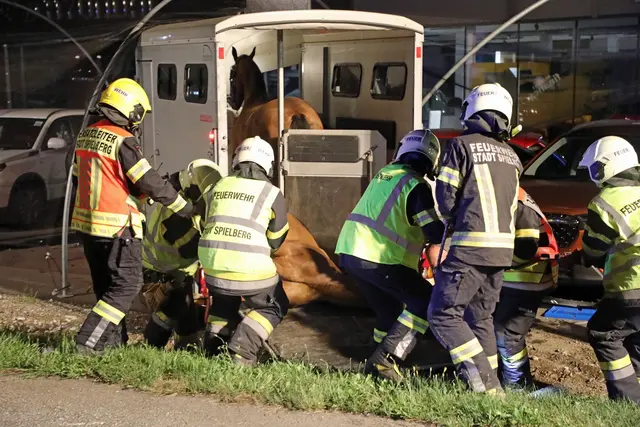 Die Feuerwehr musste die Pferde bergen.