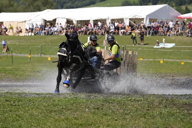 Österreichs beste Gespannfahrer zeigten vor einer begeisterten Zuschauerkulisse fahrerische Präzision, Schnelligkeit und Nervenstärke. | Foto: StefanieKarner/URC Waidach