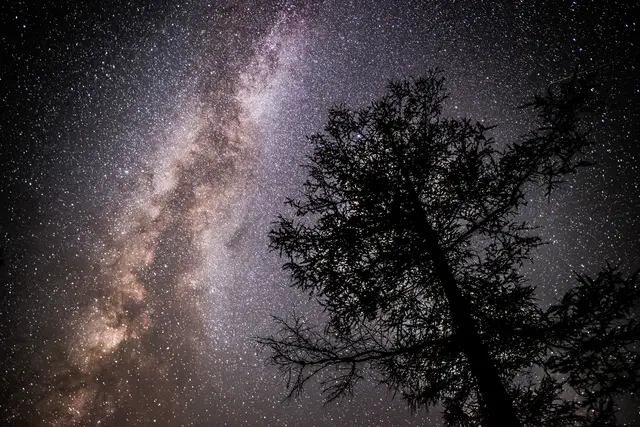 In der Nacht vom 12. auf den 13. August bietet der dunkle Nachthimmel des Naturnachtgebiets Eisenwurzen beste Bedingungen für die Beobachtung der Perseiden. Zwischen 22:00 und 4:00 Uhr sind zahlreiche Sternschnuppen zu sehen. | Foto: Andreas Hollinger 