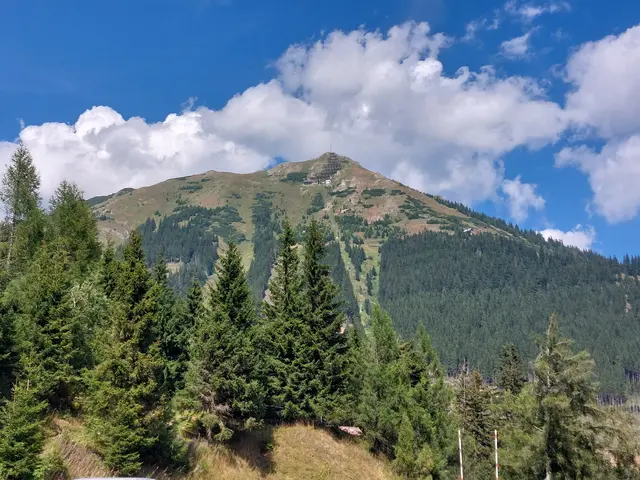 Abschließender Blick zum Polster ( vom Präbichler Hof, Grübl ) gesehen