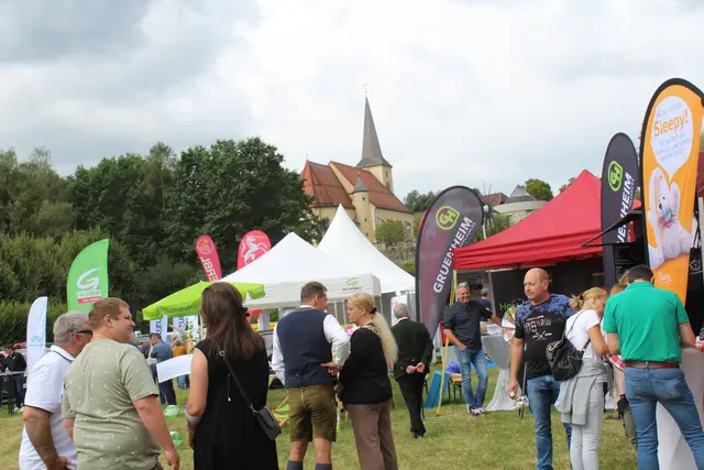 Bei der Strudengauer Messe 2025 | Foto: MeinBezirk Perg