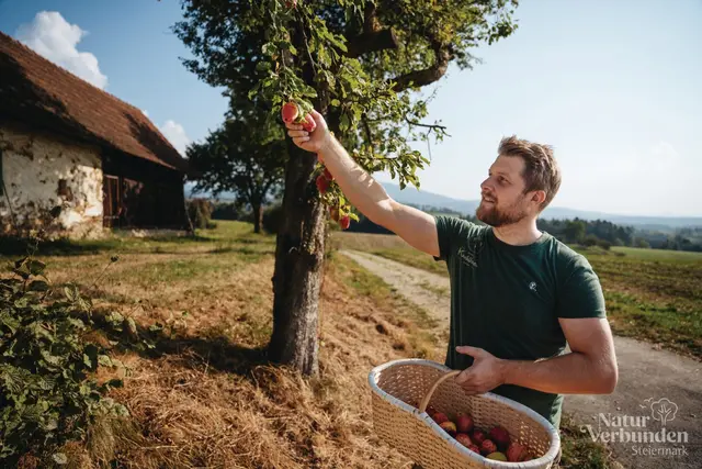 Mit günstigen Jungbäumen aus der Streuobstaktion können Bürgerinnen und Bürger wertvolle Lebensräume neu schaffen und erhalten.