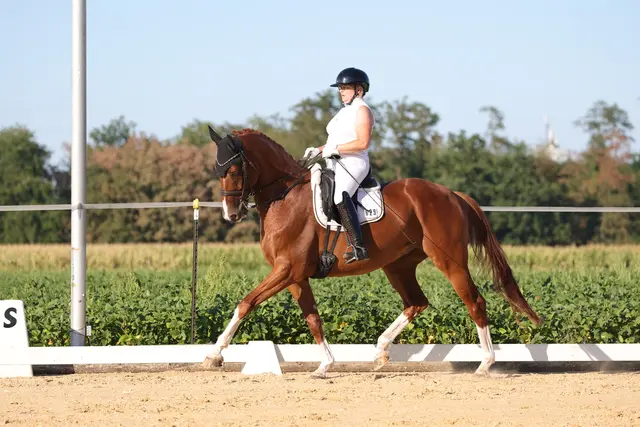 Irina Oberthür (GER) gewinnt den Prix St. Georges mit einer Einlage zu Listen to your heart. | Foto: Horsepic.at by Brunnmayr