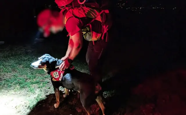 28 Bergretter sowie mehrere Suchhunde standen im Einsatz.  | Foto: Bergrettung Villach