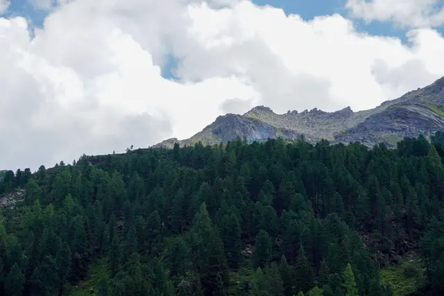 Foto: OVI Moritz Scharler 
