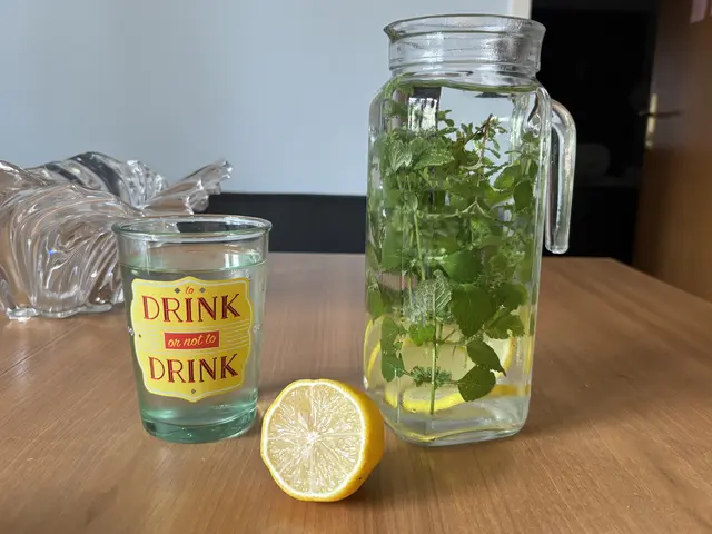 Ein erfrischendes Minz-Wasser mit Zitrone sorgt für einen kühlen Kopf bei der Hitze. | Foto: Lauren Fahrenberger / MeinBezirk