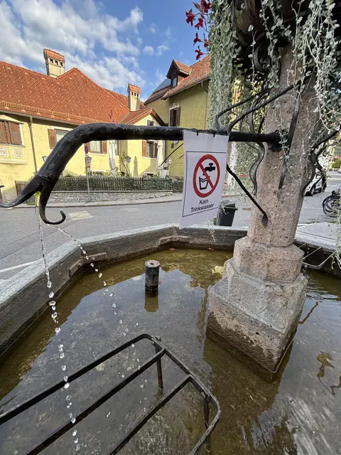 Foto: Georg Larcher