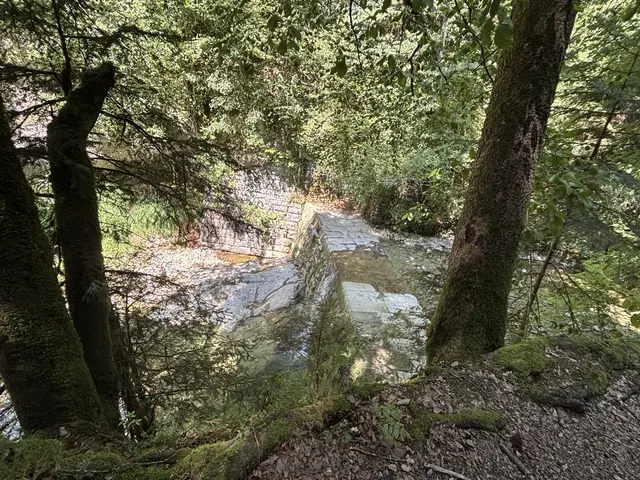 Auf dem Weg entlang der Glasenbachklamm. | Foto: Emanuel Hasenauer