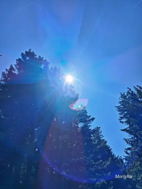 Foto: Gold Michaela/Moriyha