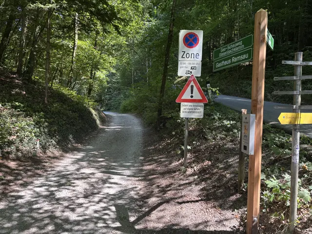 Der Weg hinein zur Glasenbachklamm in Elsbethen. | Foto: Emanuel Hasenauer