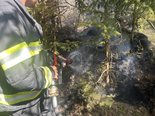 Löscheinsatz im dichten Wald | Foto: FF Waidhofen/Thaya