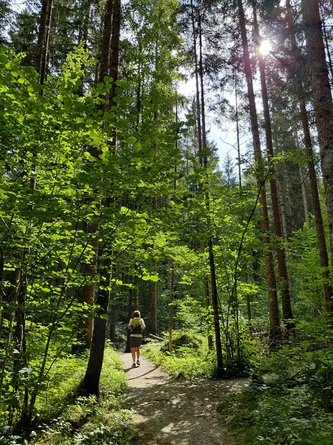 Foto: H.Bachinger