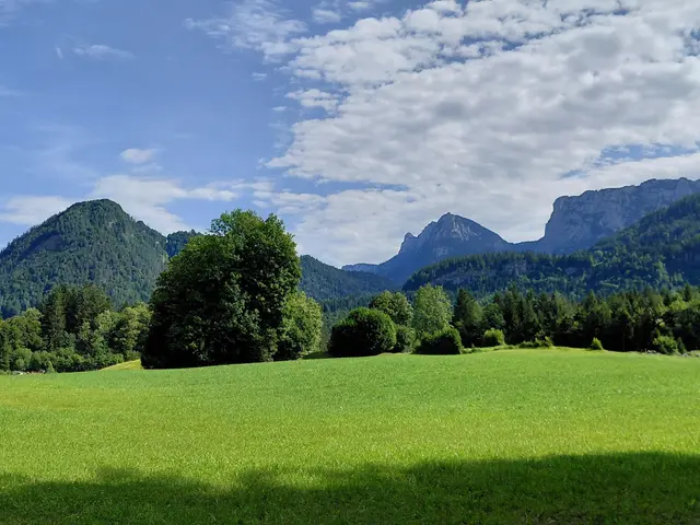 Wirklich so grün... KEINE Bildverarbeitung! | Foto: H.Bachinger