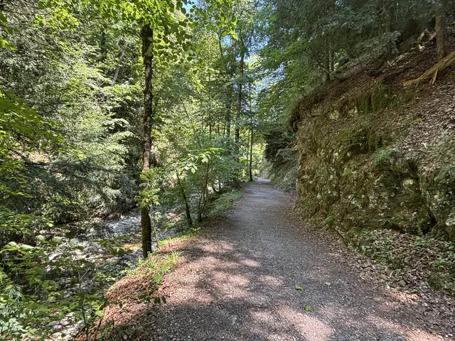 In Zukunft übernimmt die Gemeinde Elsbethen laut Bürgermeister Matthias Herbst die laufende Instandhaltung und Sanierung des Wanderweges sowie der dazugehörigen Brücken und Anlagen.  | Foto: Emanuel Hasenauer