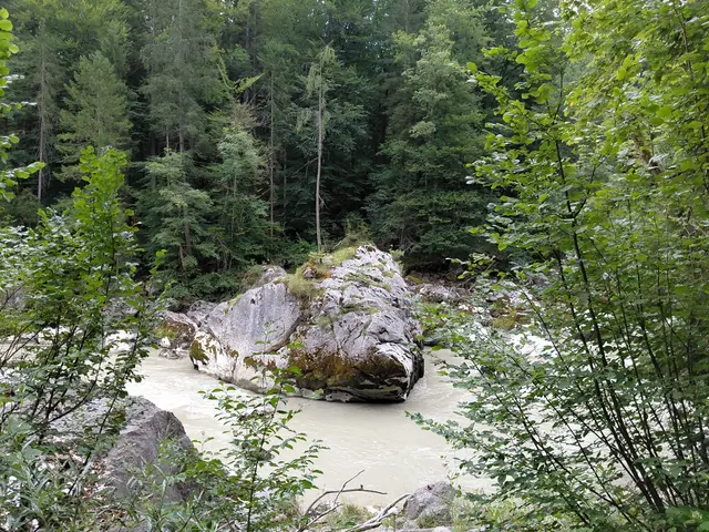 Foto: H.Bachinger