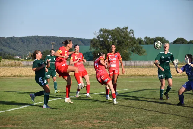 Foto: MeinBezirk/Michael Strini