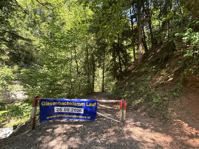 Foto: Emanuel Hasenauer