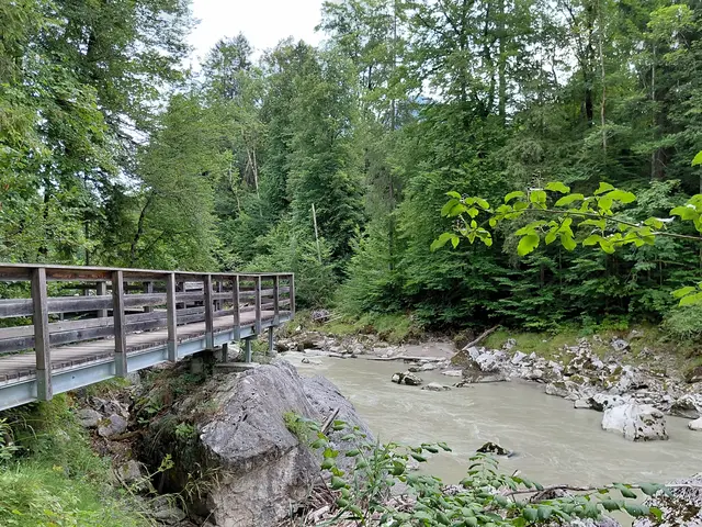 Foto: H.Bachinger