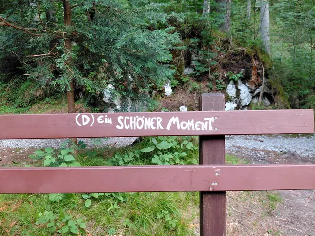 Foto: H.Bachinger