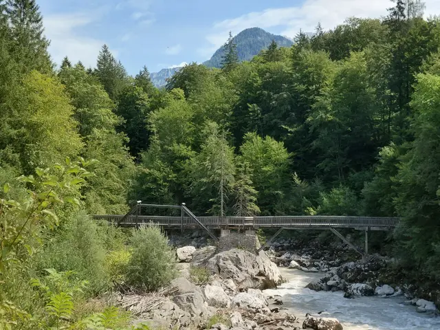 Der Rundweg endet wieder am Teufelssteig  | Foto: H.Bachinger