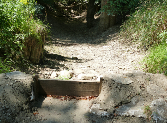 Eine komplett ausgetrocknete Lahn in Lannach. | Foto: Bezirksjagdamt Deutschlandsberg