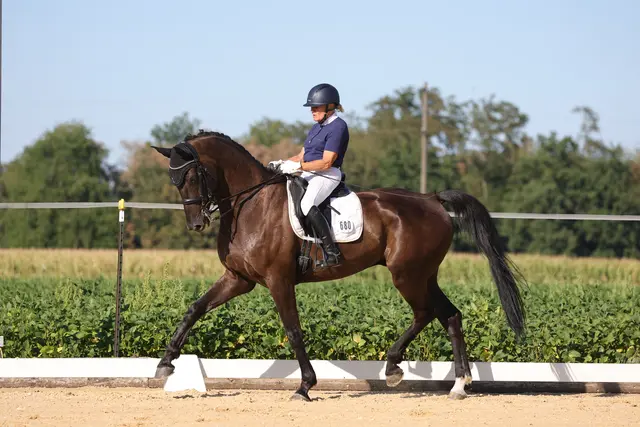 Monika Haas überzeugt mit Zucchero M in den FEI Junge Reiter-Prüfungen. | Foto: Horsepic.at by Brunnmayr