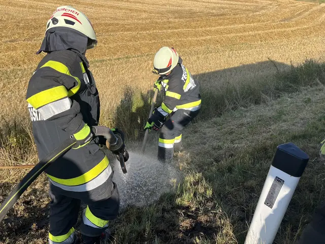 Foto: FF/Schaden
