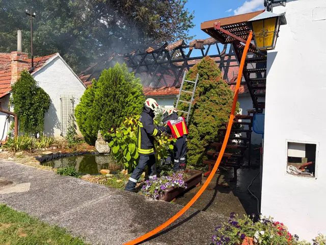 Mit mehreren Löschleitungen wurde der Brand erfolgreich bekämpft. | Foto: FF Zellerndorf
