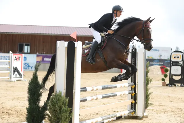 Tobias Skiba-Hofinger punktet mit Vancouver für das Team des RC Hofinger. | Foto: Horsepic.at by Brunnmayr